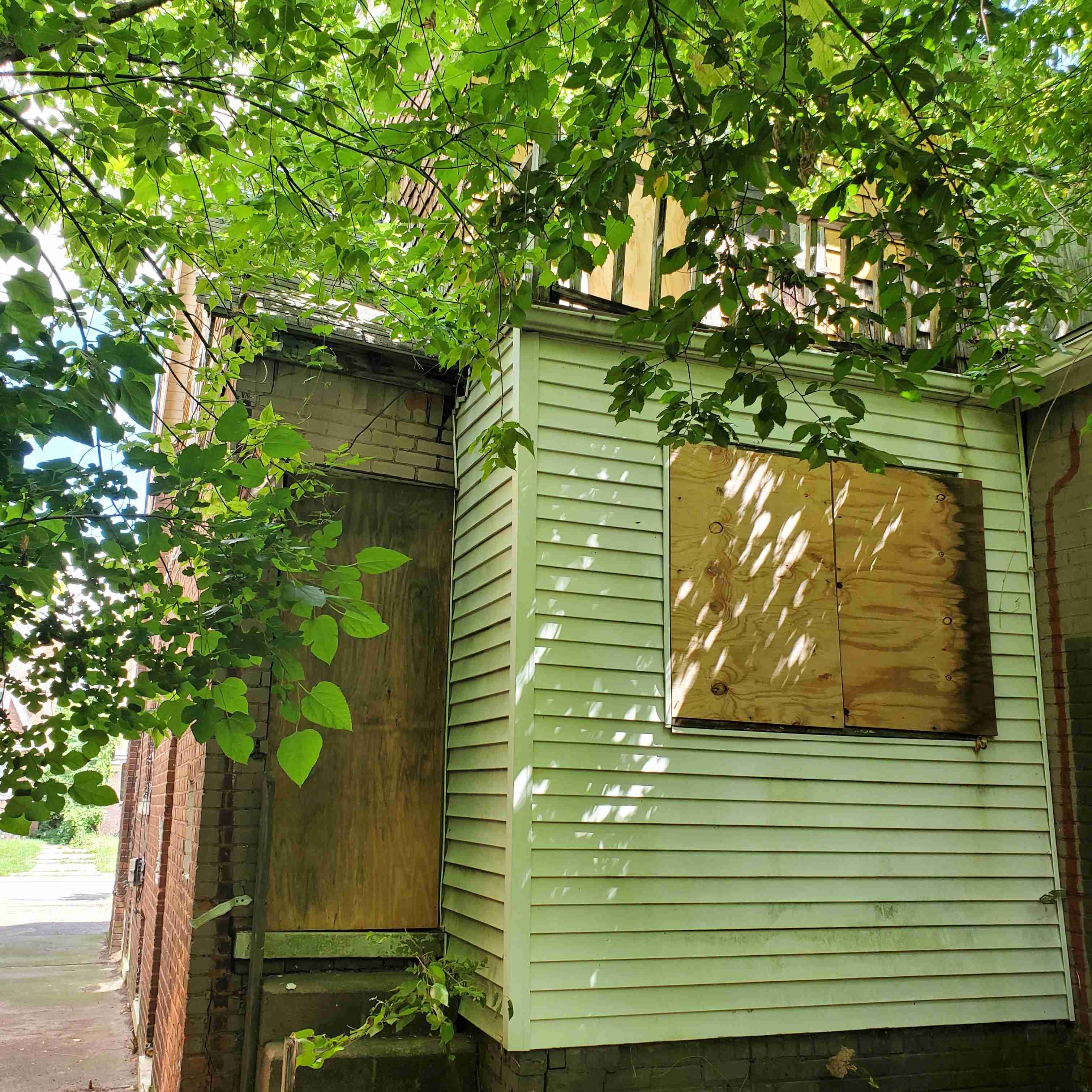 20200819_142655 (2).jpg